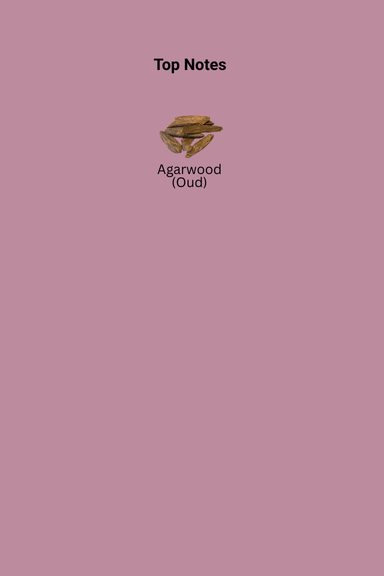 1216_32.png
