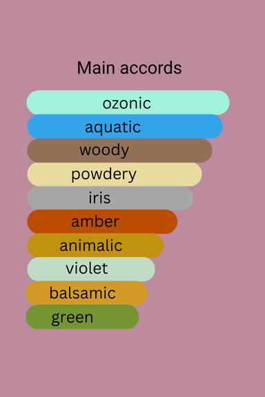 355_355.png