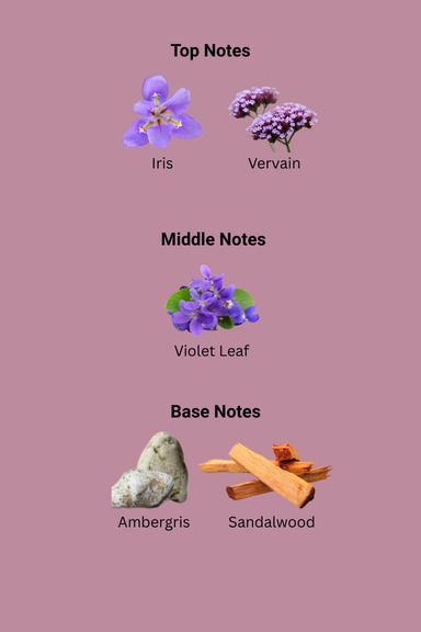 356_356.png