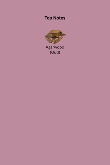 844_44.png