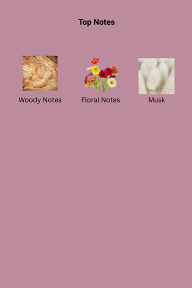 972_172.png